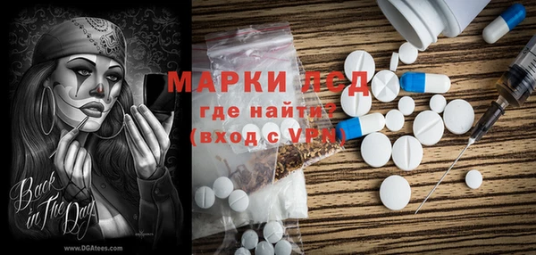 прущие грибы Абдулино