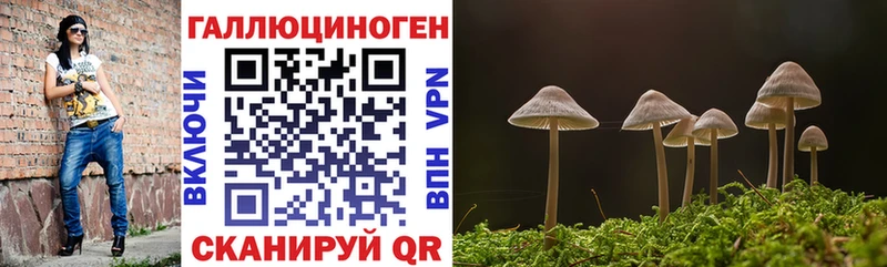 где купить наркотик  Каменск-Уральский  blacksprut зеркало  Галлюциногенные грибы мухоморы 
