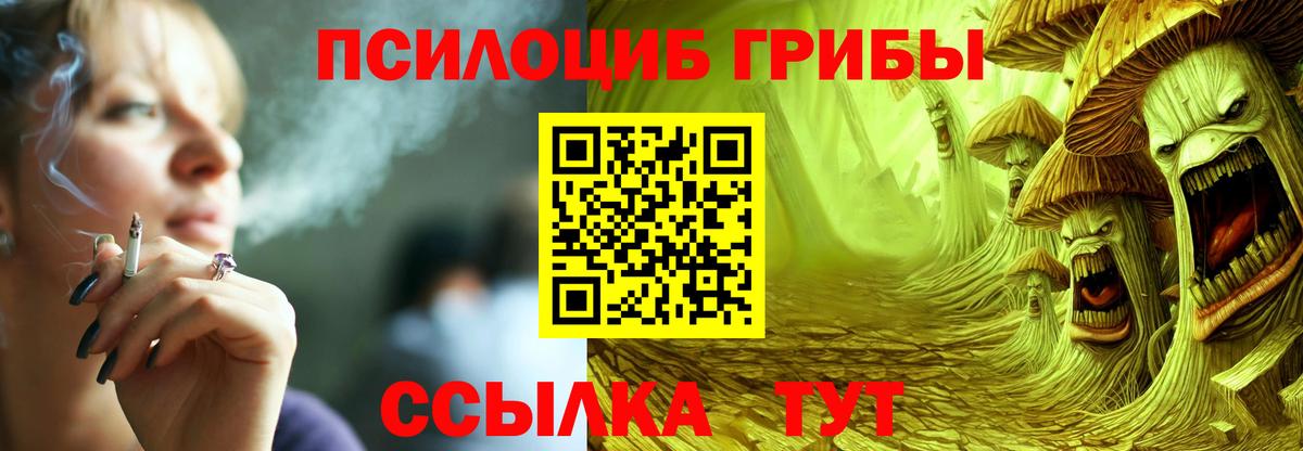 Псилоцибиновые грибы Psilocybine cubensis Каменск-Уральский