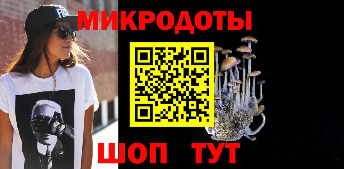 Каменск-Уральский  Псилоцибиновые грибы GOLDEN TEACHER  Псилоцибиновые грибы Psilocybe  Вход с VPN 