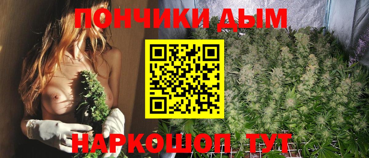Каменск-Уральский  Бошки марихуана конопля  Бошки Шишки AK-47  Канабис AK-47  Вход с VPN 